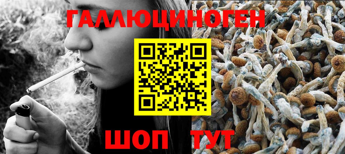 Псилоцибиновые грибы GOLDEN TEACHER Борзя